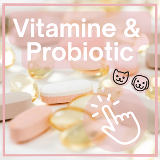 Vitamine und Probiotika und Präbiotika