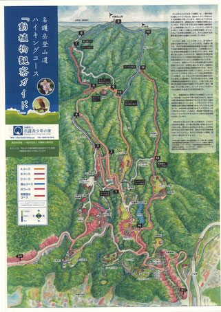 名護岳のち密なデッサンよりなる鳥瞰図