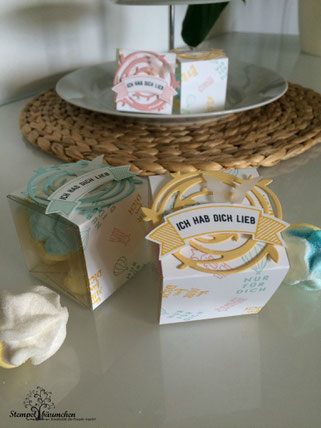 Stampin up transparente Mini-Geschenkschachteln