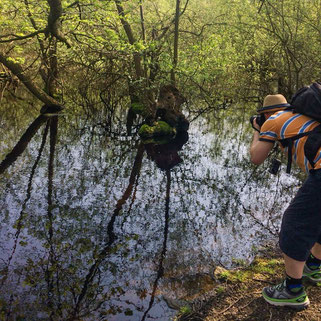 Dirk Godlinski fotografiert Insektoiden im Bruchwald