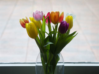 Tulpen Stillleben "langweilig"