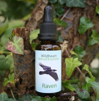 30ml - CHF 28.00