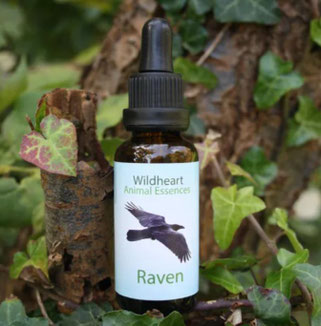 30ml - CHF 36.00