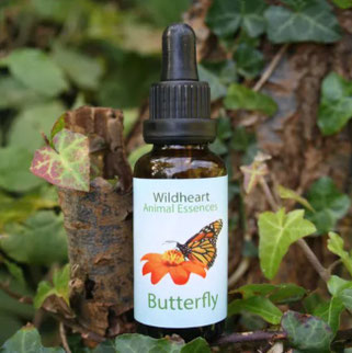 30ml - CHF 36.00