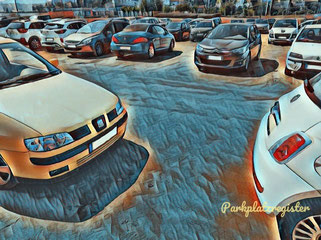parken flughafen frankfurt main