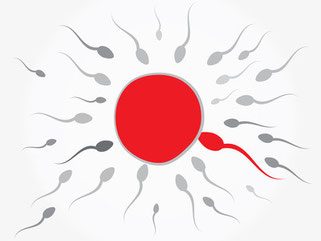 男性不妊症のための鍼灸治療