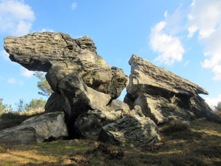 Das kleine Kamel auf dem Langenberg