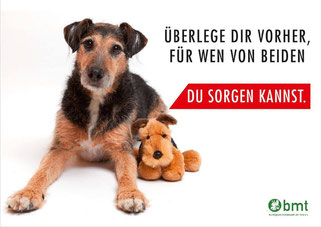 Foto: Tierheim Dellbrück