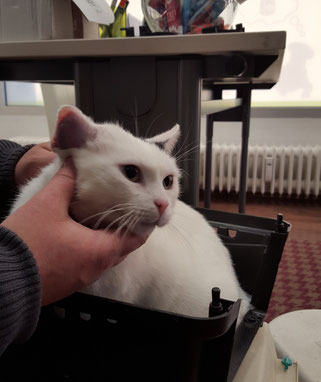 Foto: Oetken