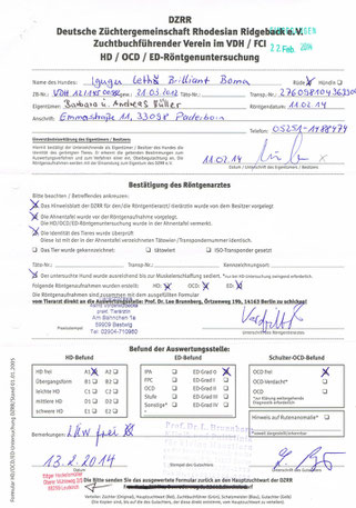 zu den Daten