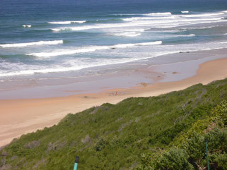 Bild Strand von Wilderness