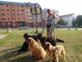 Maike als Dogwatcher