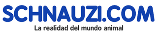 Pinche en este logo.