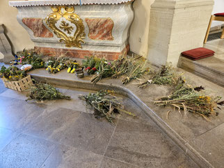 Foto: J. Hönninger