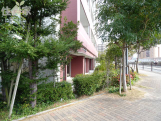 カサーレ大阪城公園,城東区中古物件,城東区中古マンション,東大阪,スーモ,ホームズ,suumo,homes,リノベーション,リフォーム,住家,すみか,sumika