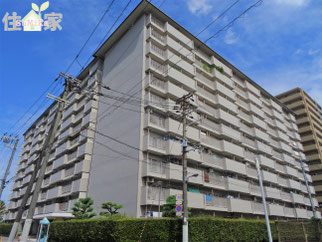 深江橋第2コーポ,深江橋第二コーポ,城東区中古物件,城東区中古マンション,東大阪,スーモ,ホームズ,suumo,homes,リノベーション,リフォーム,住家,すみか,sumika