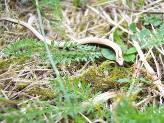 © NABU/Benedikt Sunderhaus