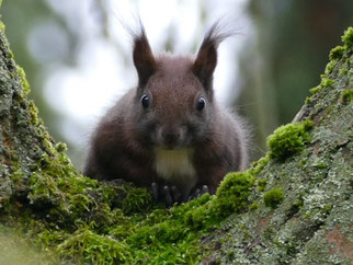 © NABU/Kathrin Rädel