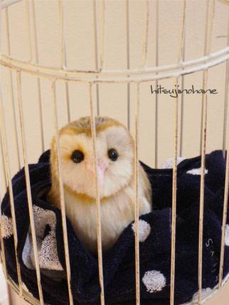 羊毛フェルト メンフクロウ フクロウ リアル