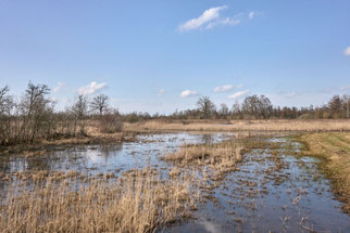 Foto: H. v. Sonntag