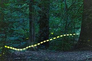 Gluehwuermchen Lichtspur