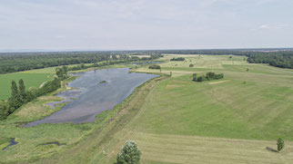 Naturschutzprojekt Saalbachniederung, Foto: Klüber Medien