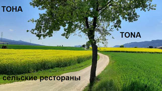 Тона, Tona