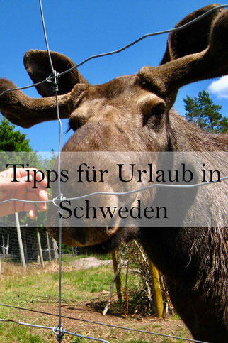 Schweden Urlaub: Tipps für eine Reise mit dem Wohnmobil. Camping, Anreise, Währung, Sprache, Wetter