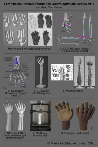 Atelier Mario Tischhauser - Insight Rekonstruktion - It's All about Hands