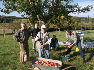 Apfelernte 2015 (Foto NABU Eppstein)