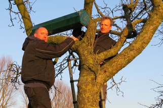Johannes Klaassen und Thomas Iwwerks beim Aufhängen einer Steinkauzröhre