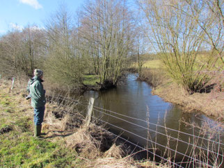 NABU-Gruppe bei der Biotoppflege