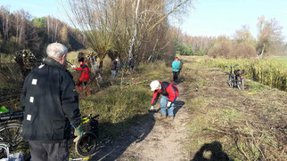 Weidenschnitt im Erpetal