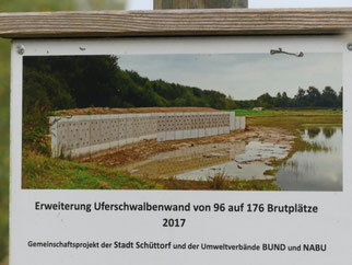 Beispiel einer erfolgreichen Uferschwalbensteilwand in der Grafschaft Bentheim, Hinweisschild, Foto: G. Baade