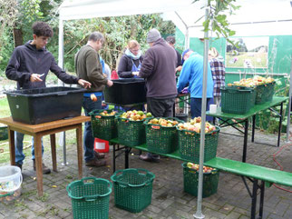 Hierv wird fleißig geschnippelt und gesäubert