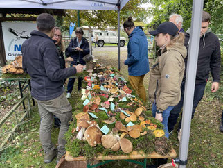 Pilzfachmann Harald Sattler