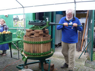 Keltermeiser Manfred Eberhard an der Kelterpresse