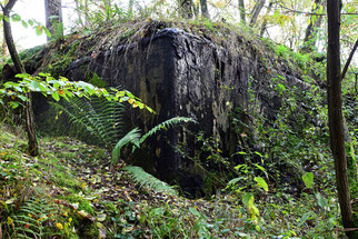 Fledermaus-Bunker