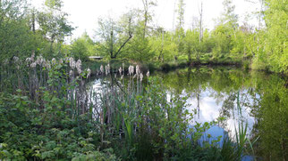 See vor der ZWO, Foto: ©KBenedickt