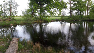 Am Weichsee, Foto: ©KBenedickt