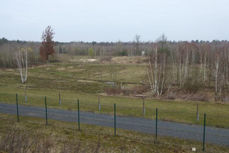 Blick in den Wisentwald, Foto: ©KBenedickt