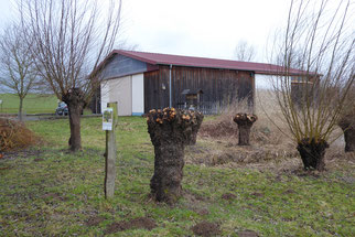 Naturschutzscheune, Foto: K. Benedickt