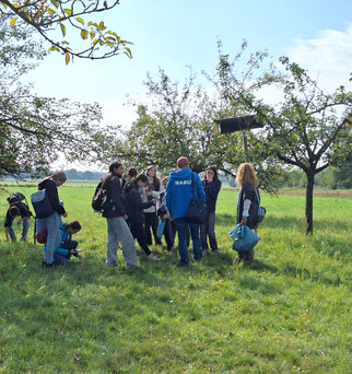 Auf der Streuobstwiese: Foto©KBenedickt
