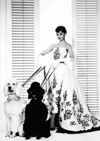 Fotografía  Audrey Hepburn   Sabrina   Ilustraciones y fotografías de artistas de cine