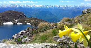 Randonnée printanière jusqu'au dessus de l'étang, pour admirer nos Pyrénées ariègeoises encore enneigés