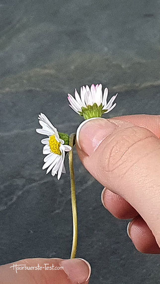 blumenkranz haare selber machen