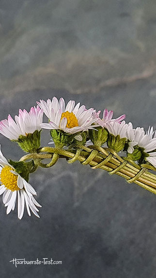 gänseblümchen haarkranz selber machen