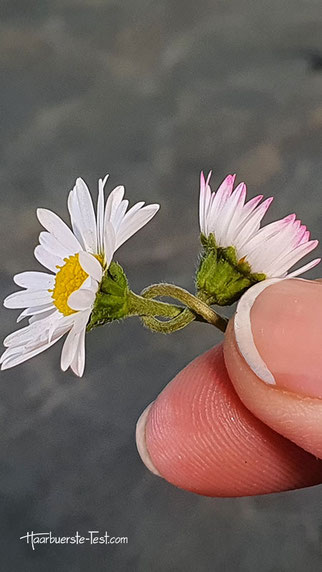 blumenkranz selber machen