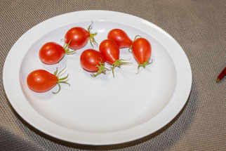 Tomate "Rote Birne" (Foto: B. Budig)