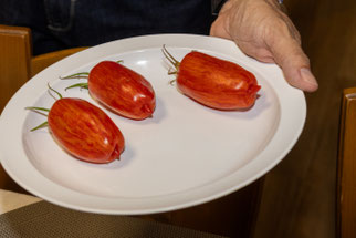 Tomate "Striped Roman Rot" (Foto: B. Budig)